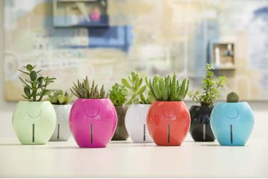 Grobal Karim Rashid