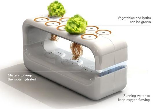 hydroponic-garden