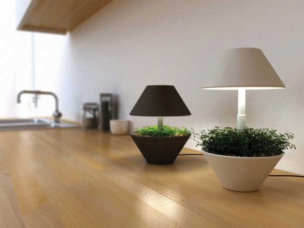 lightpot-foto-orto