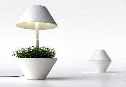 lightpot-foto