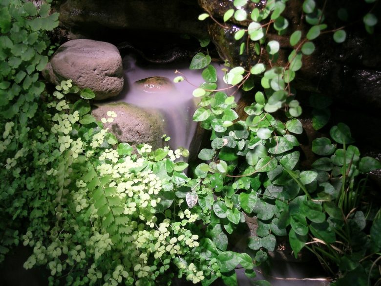 giardino interno