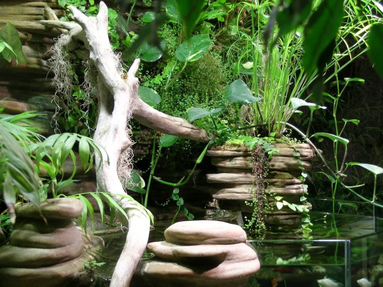 giardino interno 