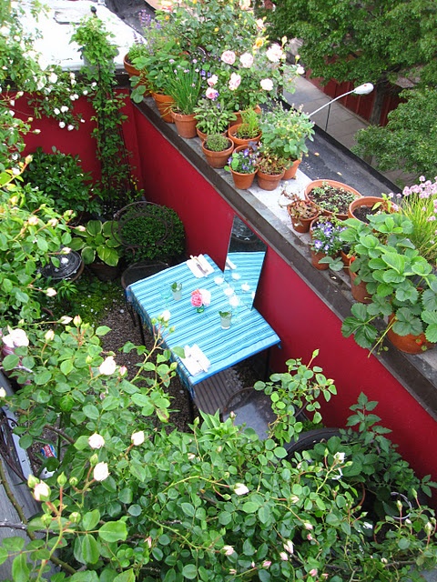 arredara terrazzo  14