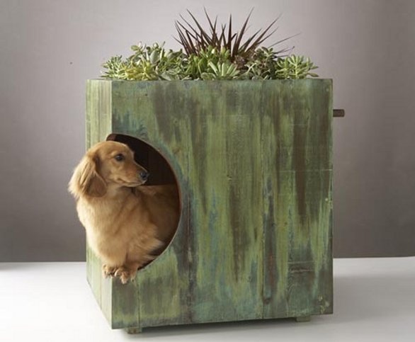 cuccia-design
