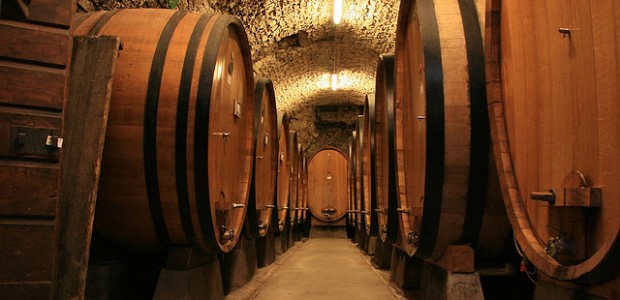 cantina di vini