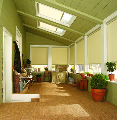 skylight-blind-1