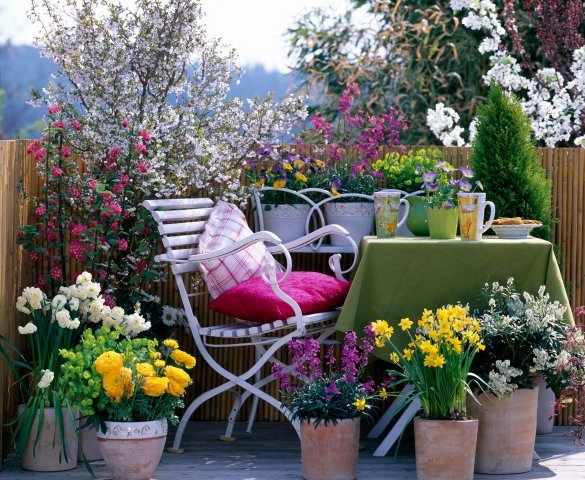 primavera-balcone