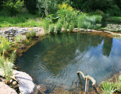 piscina ecologica (5)