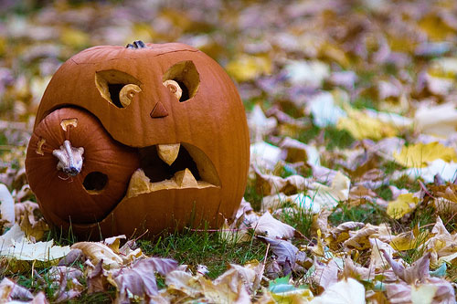 zucca halloween (1)