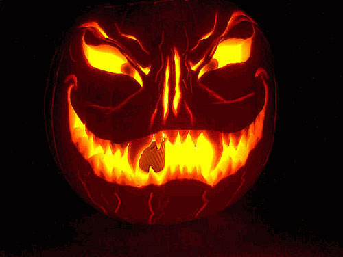zucca halloween (2)