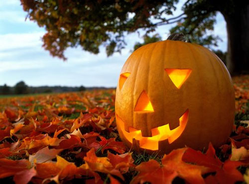 zucca halloween (5)