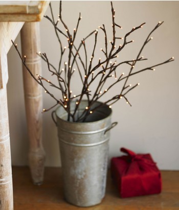 zm_lighted-branches