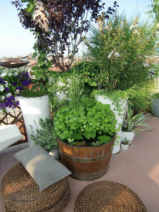pavimento terrazzo 18