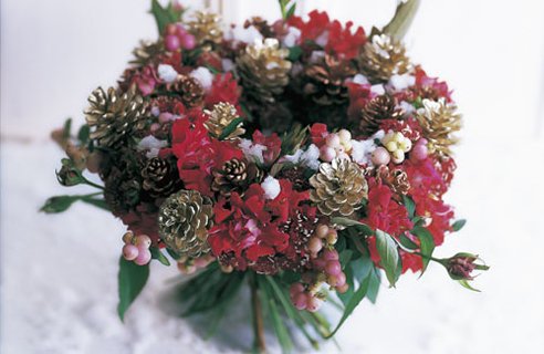 2-Pine-Cones-flowers