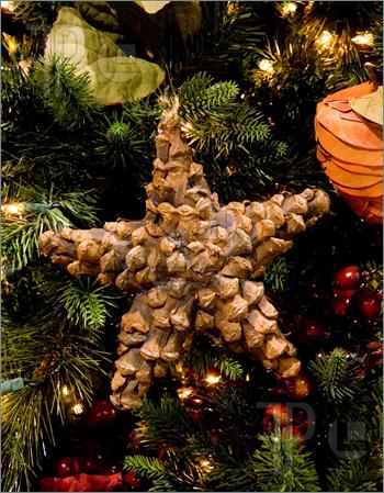 Brown-Wood-Star-Christmas-Ornament-540259