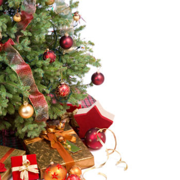 albero natale