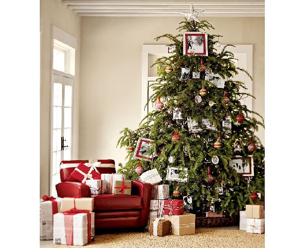 great-christmas-tree-decor-2011