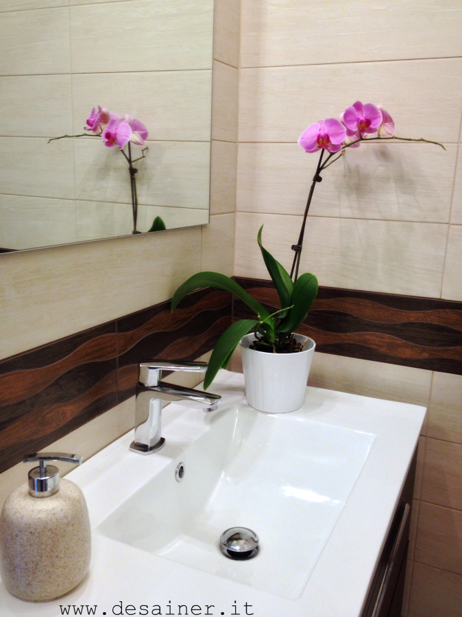 pianta da bagno