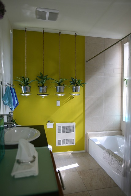 piante da bagno 11