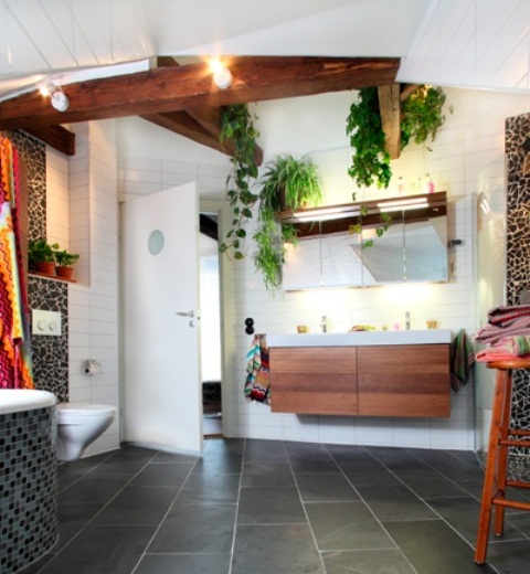 piante da bagno 16