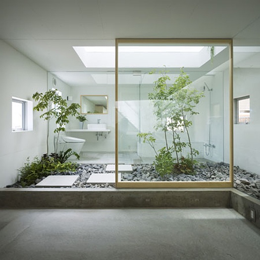 piante da bagno 20