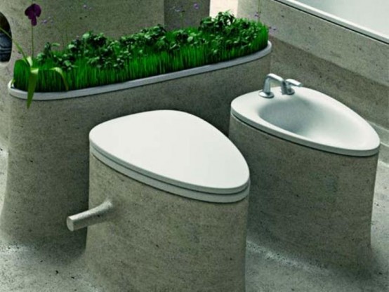 piante da bagno 37