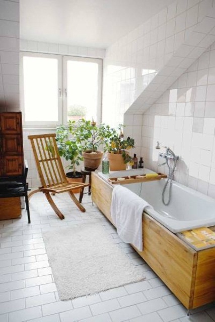 piante da bagno