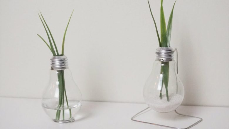 vaso-lampadina