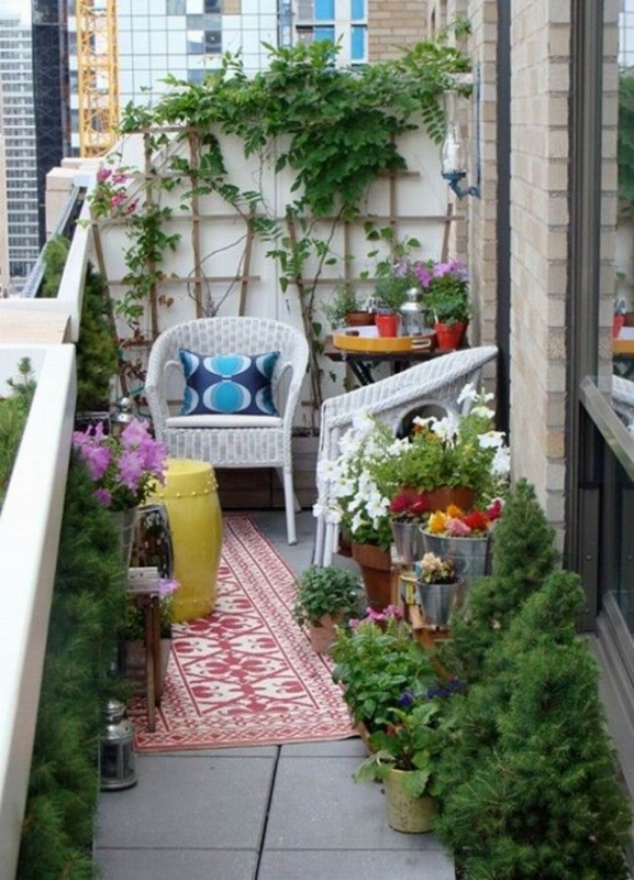 balcone-piante-da-citta