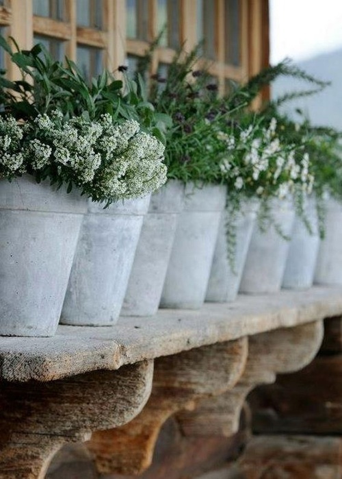 erbe-aromatiche-balcone