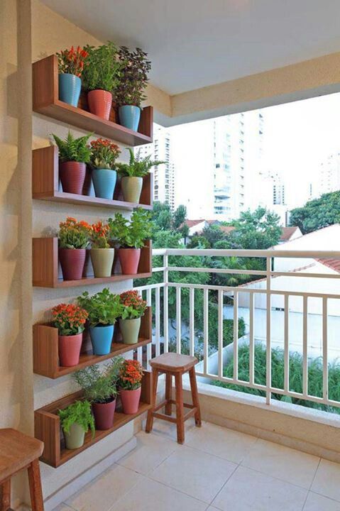 piante-balcone-vaso