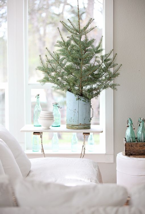 albero-natale