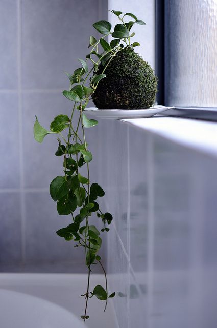 PIANTA-DESIGN-BAGNO