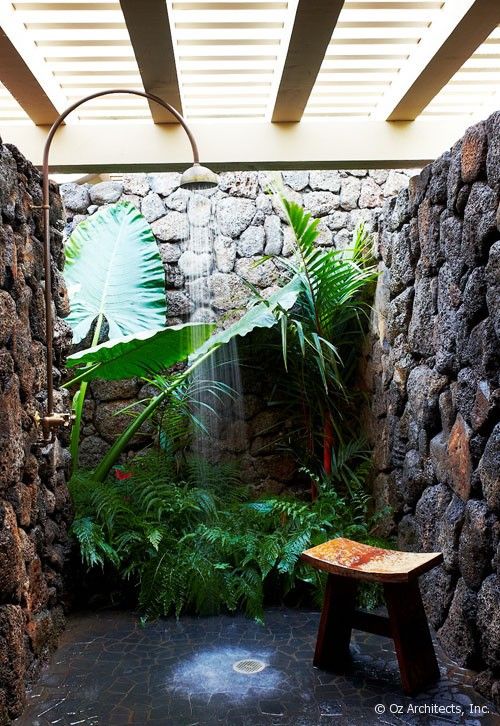 PIANTE-BAGNO-5