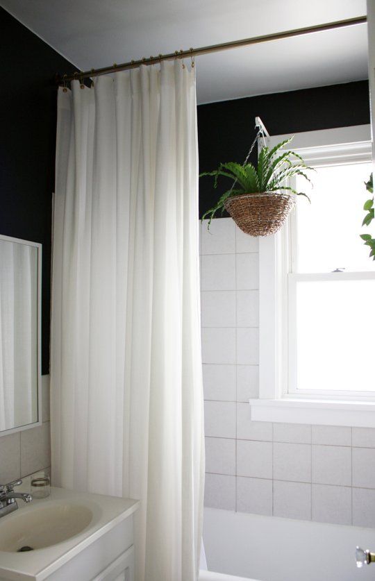 PIANTE-DA-BAGNO