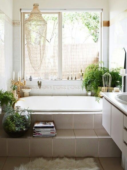 PIANTE-VASCA-DA-BAGNO