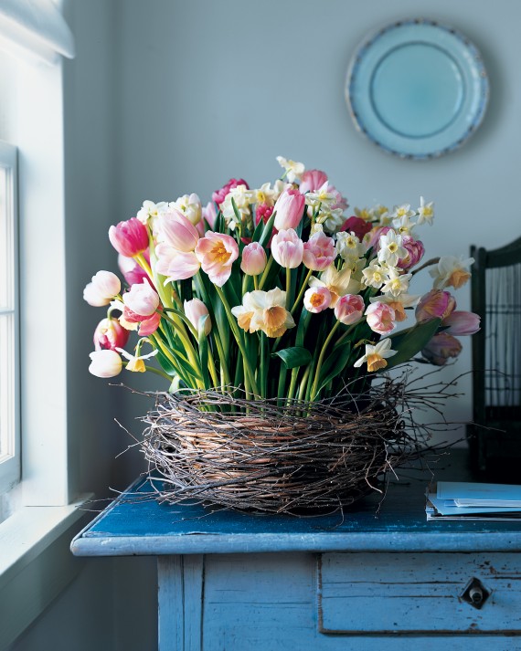 cesta-tulipani
