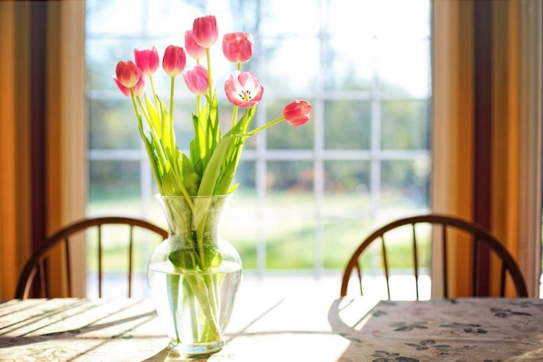 tulipani-