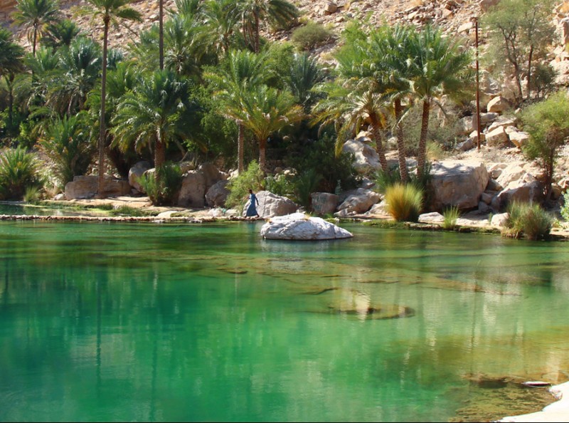 Paghera - King Abdullah International Gardens a Riyadh_immagine_20150521110244