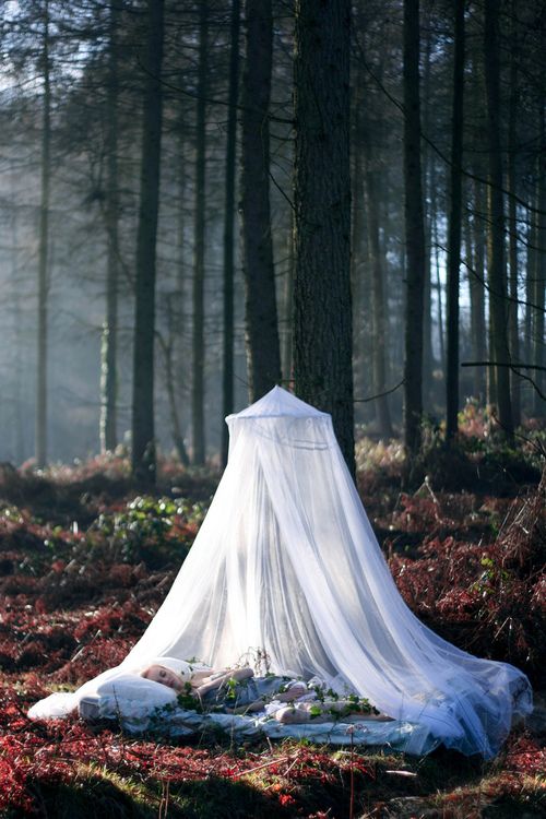 zanzariera-giardino-design-15