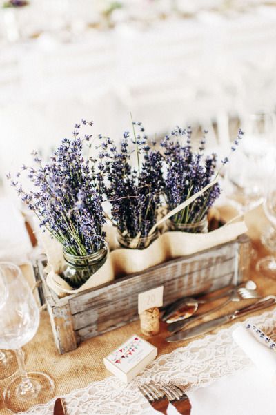 lavanda