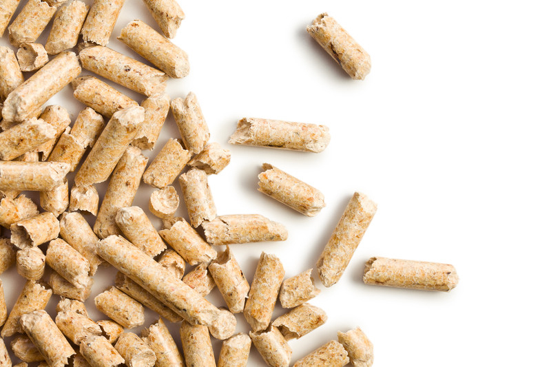 pellet