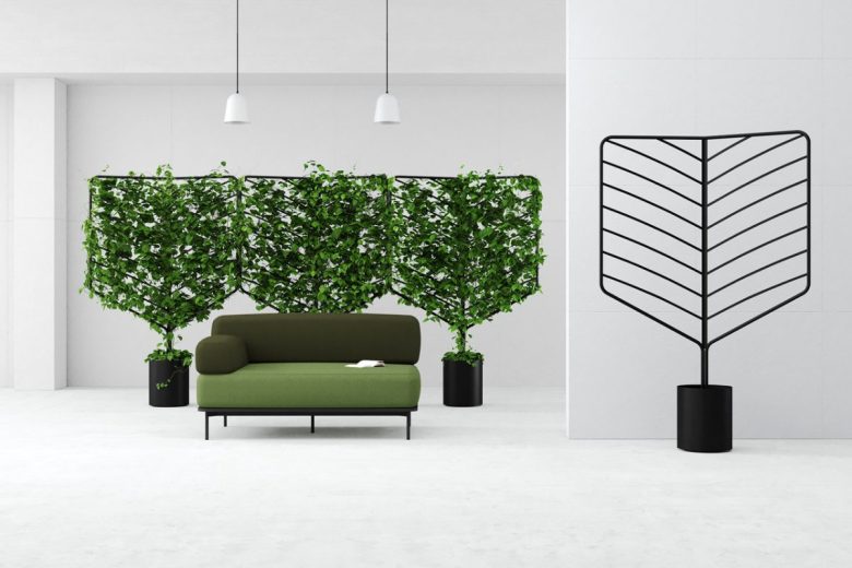 piante-per-separare-ambienti-divano