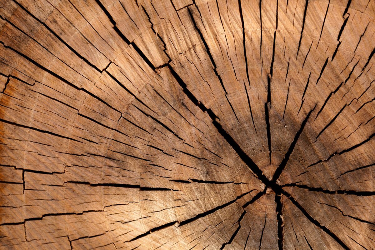 Legno Legno