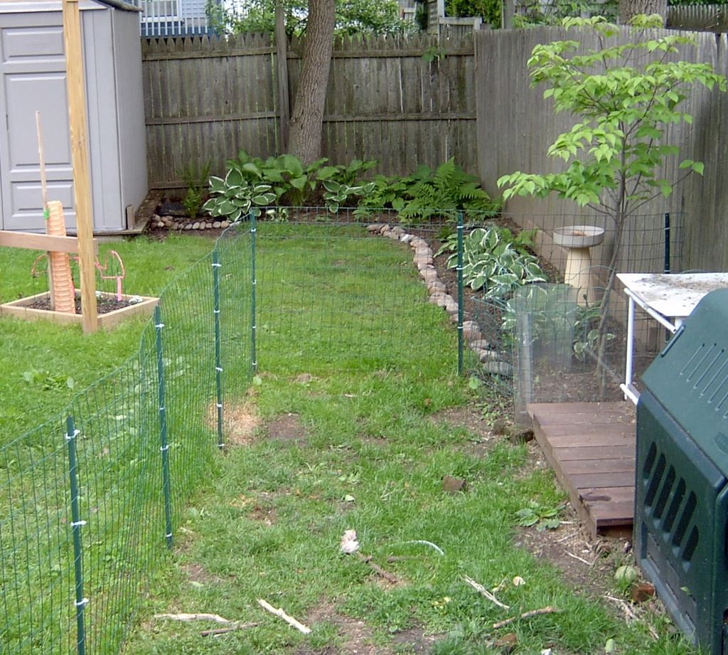 giardino-cane