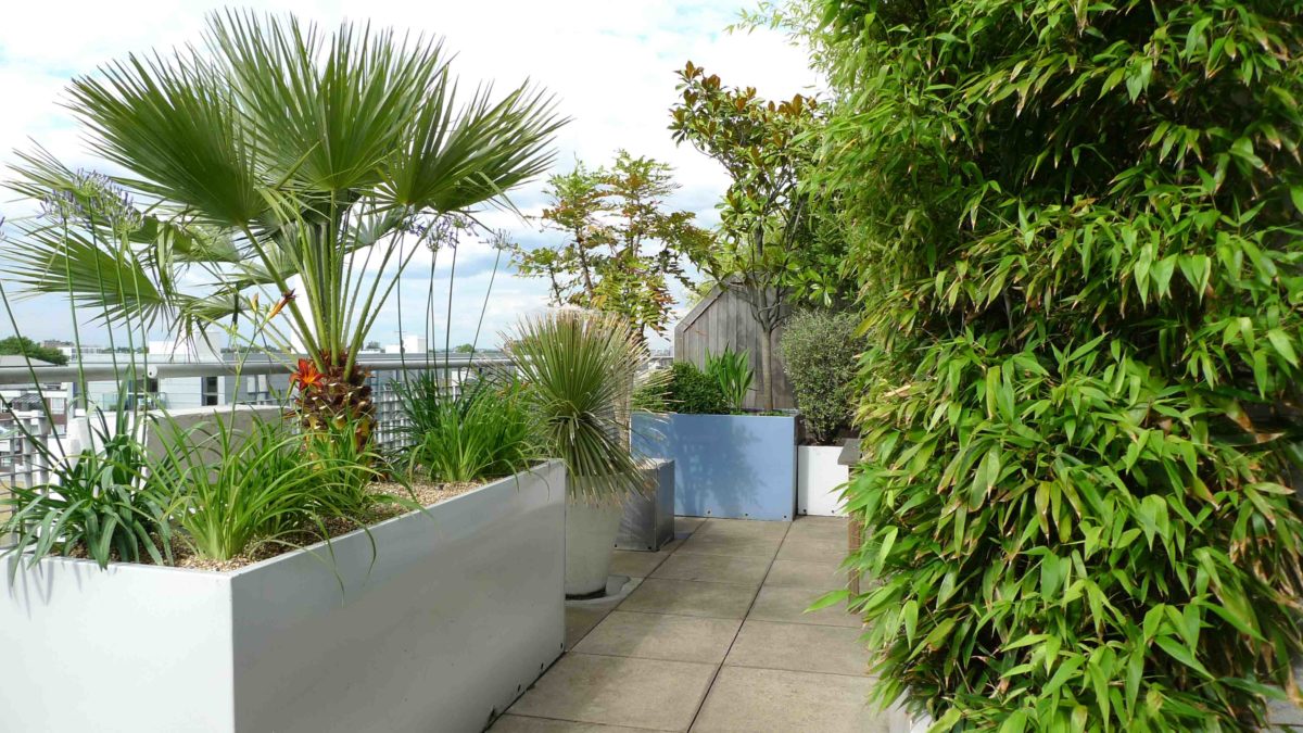 giardino-in-terrazzo-11