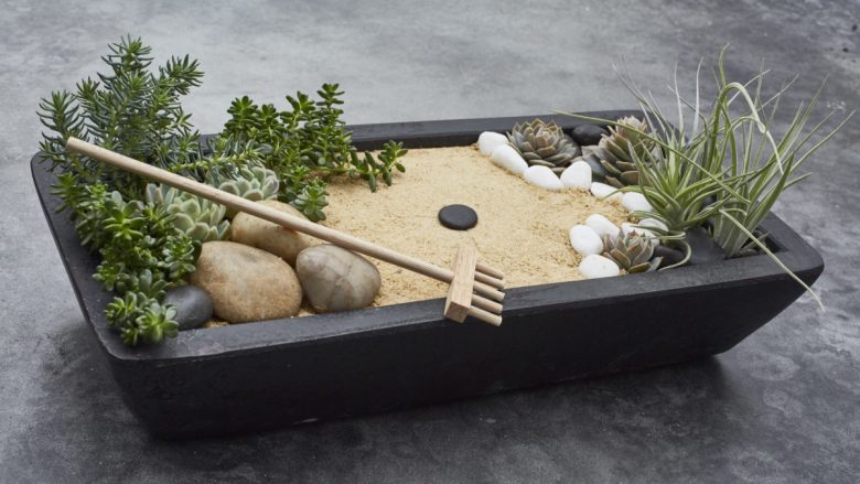 giardino-zen-miniatura-piante