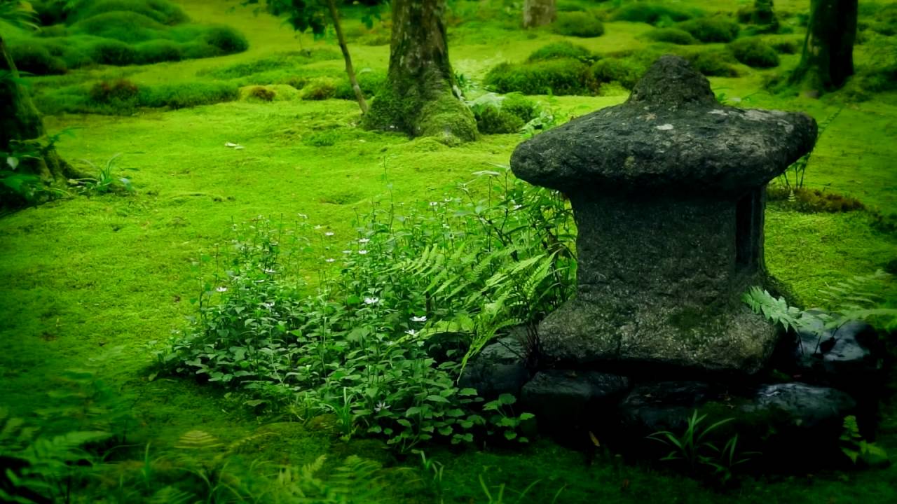 giardino-zen-muschio