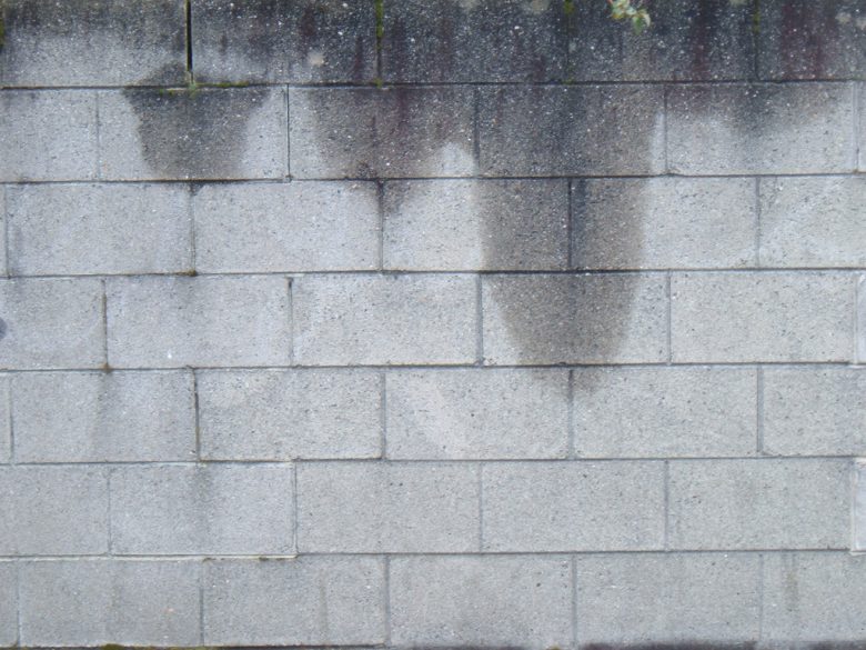 infiltrazioni-acqua-muffa-muro-esterno