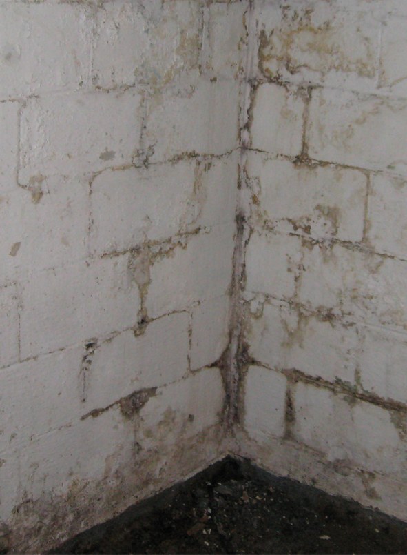 infiltrazioni-acqua-muro-cantina